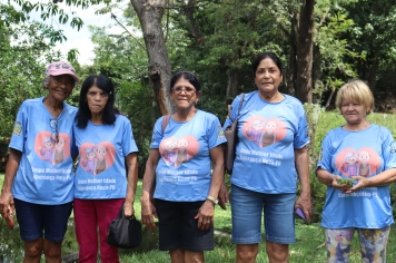 Foto - PASSEIO DA MELHOR IDADE