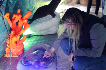 Foto - Projeto Vida Marinha: Uma Iniciativa Transformadora de Educação Ambiental em Esperança Nova