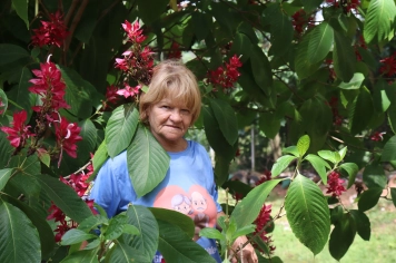 Foto - PASSEIO DA MELHOR IDADE