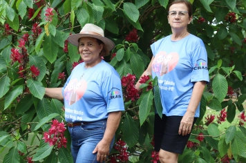 Foto - PASSEIO DA MELHOR IDADE