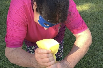 Foto - Reencontro da Melhor Idade 2026