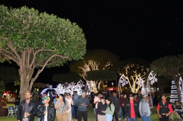 Foto - Entre Luzes e Palavras