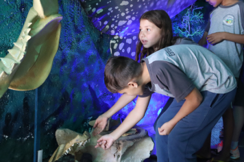 Foto - Projeto Vida Marinha: Uma Iniciativa Transformadora de Educação Ambiental em Esperança Nova