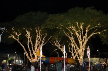 Foto - Entre Luzes e Palavras