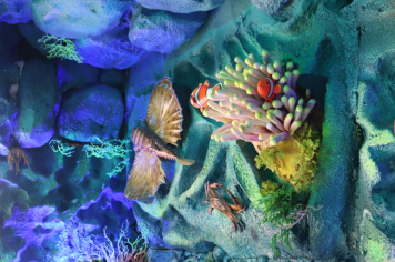 Foto - Projeto Vida Marinha: Uma Iniciativa Transformadora de Educação Ambiental em Esperança Nova