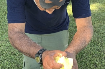 Foto - Reencontro da Melhor Idade 2026