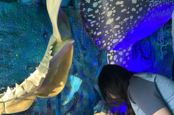 Foto - Projeto Vida Marinha: Uma Iniciativa Transformadora de Educação Ambiental em Esperança Nova
