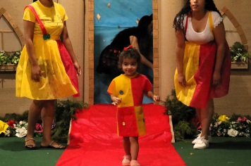 Foto - Desfile de Fantasias - CMEI Pequeno Príncipe