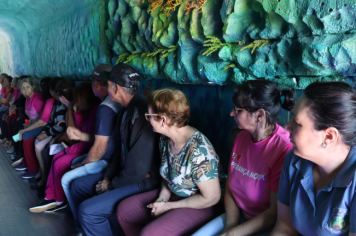 Foto relacionada - Projeto Vida Marinha: Uma Iniciativa Transformadora de Educação Ambiental em Esperança Nova