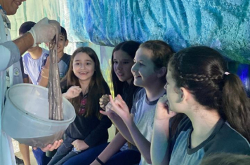 Foto - Projeto Vida Marinha: Uma Iniciativa Transformadora de Educação Ambiental em Esperança Nova